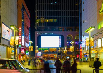 After Dark in Kabukicho: The Real Stories Behind Okubo Park and Tokyo’s Late-Night Youth