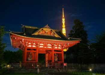 How to Enjoy Tokyo’s Night Temples and Shrines Respectfully