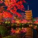 Kyoto’s Haunted Nights: Temples, Spirits, and Whispered Legends