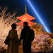 Kyoto by Moonlight: Shrines, Geisha Districts, and Night Temples