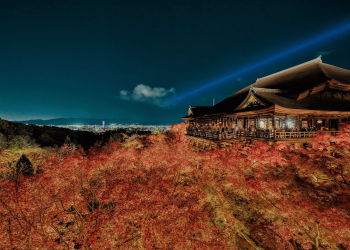Kyoto by Moonlight: Elegant Night Spots for Photographers