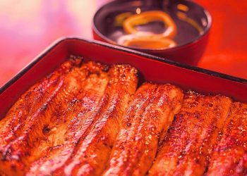 Unagi in Japan: A Cultural and Culinary Icon