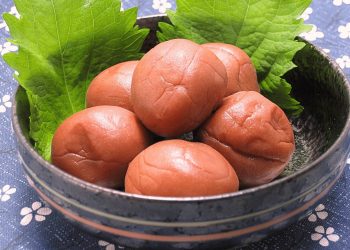 Nourishing Power: Traditional Japanese Foods Known for Energy and Vitality