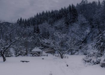 Regional Cuisine of Tohoku: Exploring Japan’s Northern Soul Through Food