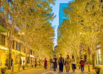 Timeless Romance: Night Destinations for Mature Couples in Tokyo