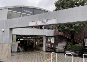 Daikanyama After Dark: Boutique Bars and the Art of Quiet Drinking