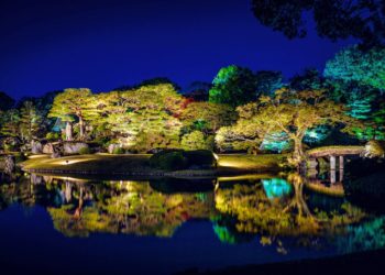 Serene Nights in Tokyo: A Leisurely Guide for Senior Travelers