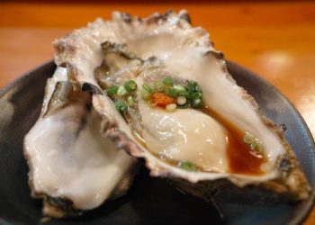 The Ultimate Guide to Eating Oysters in Japan: Flavor, Safety, and Where to Try Them
