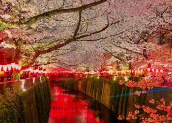 Romantic Tokyo Nights: Date Ideas for Young Couples (20s–30s)