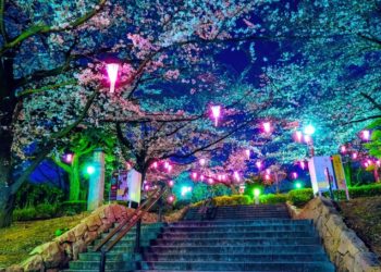 Beyond Theme Parks: Unexpected Night Fun in Tokyo for Families