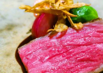 Tokyo’s “Writer-Editor’s Pick” Venues — 5 Hidden Gems That Locals Love