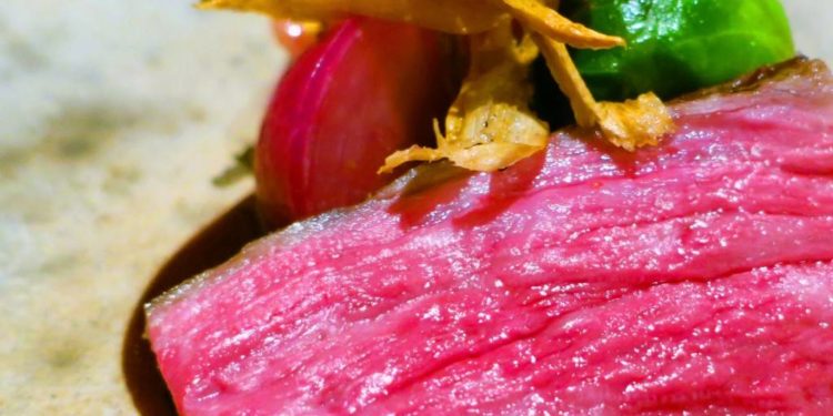 Tokyo’s “Writer-Editor’s Pick” Venues — 5 Hidden Gems That Locals Love